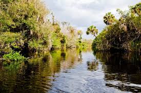 Everglades National Park Enviro Tour With Caribbean Watersports Everglades National Park National Parks Travel Usa