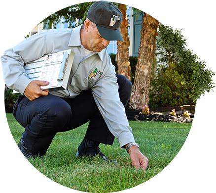 Lawn Doctor
