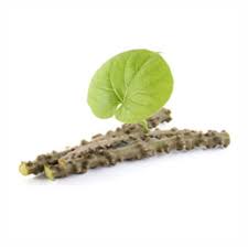 Image result for Tinospora