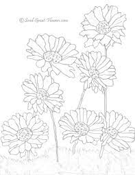 Daisy coloring pages best coloring pages for kids. Free Summer Coloring Pages To Download And Print Flower Coloring Pages Summer Coloring Pages Printable Flower Coloring Pages