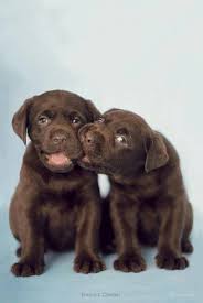 Pin On Cute