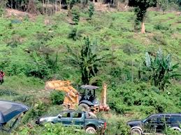Penang state forestry department is divided into five (5) forest renj: Jabatan Perhutanan Bongkar Pencerobohan Hutan Simpan Gunung Bongsu