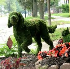 Pin By Kathleen Jaeckel On Patios Topiary Garden Garden Art Topiary