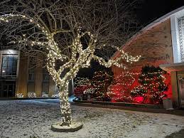 Toronto Outdoor Led Christmas Light Installation Decoration Service