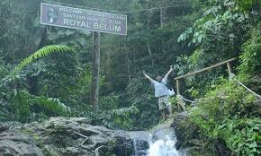 Taman negeri royal belum, gerik perak. Bukan Sekadar Port Memancing Umpan