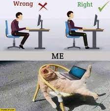 Proper Sitting Position Wrong Right Vs Me Cat Lying On A Chair Starecat Com