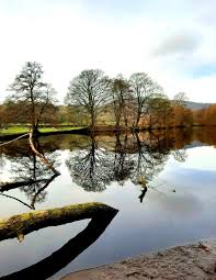 Sheffield park back in november