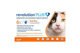 Maybe you would like to learn more about one of these? Best Flea Treatments For Cats And Dogs 2021 Reviews By Wirecutter