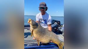 We've never seen one this big': Angler breaks 44-year record by reeling in  giant carp