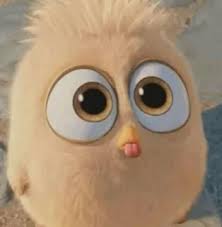 Angry Birds ` @Sicotalk