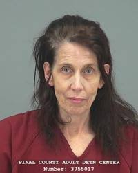 Pinal County Sheriff's log, 02/23/24