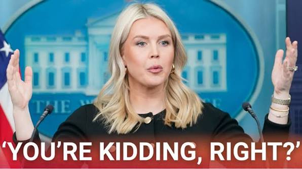 White House Press Secretary Karoline Levitt has brutally shut down a reporter during a press briefing.