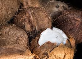 Selon la table ciqual de l'anses 5, ils représentent en moyenne 85 % de l'apport énergétique du cerneau. Peau De Zeste De Noix De Coco Ressemble A Un Visage De Singe Banque D Images Et Photos Libres De Droits Image 35499331