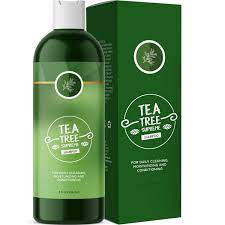 Top 5 rosemary oil benefits. Amazon Com Tea Tree Shampoo For Dry Scalp Clarifying Shampoo For Dry Hair With Tea Tree Oil For Hair And Rosemary Essential Oil Sulfate Free Shampoo For Color Treated Hair