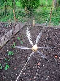 How to build a raised prefab wooden vegetable or flower bed. 70 Best Keep Birds Out Of The Garden Ideas Birds Bird Repellents Garden