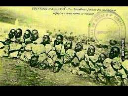 ادارة   التوحش   الدستوري………