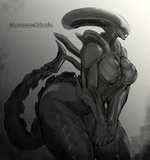 Rule34 - If it exists, there is porn of it  xenomorph  6240355