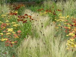 3 members of urban prairie captains recruiting in companies and neighborhood planters, a local gardening club, say they will put in a organizations all over town. Landscaping And Hardscaping Prairie Garden Plants Prairie Planting