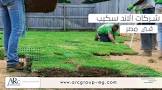 شركة الرواد لانشاء وتنفيذ وعمل حمامات السباحة في مصر