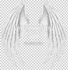 Before you start to draw angel wings. Drawing Cherub Angel Wing Png Clipart Angel Angel Wing Angel Wings Archangel Bird Free Png Download