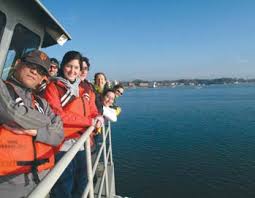 2013 Annual Report for web.indd