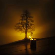 A Wee Pine Tree Light That Makes A Big Impression Shadow Tree Candle Decor Lights