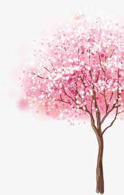 Cherry Tree Png And Clipart Cherry Blossom Wallpaper Cherry Blossom Painting Flower Wallpaper