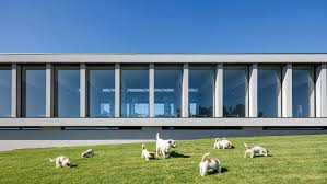 Raulino Silva Arquitecto Tan Kedi Ve Kopek Oteli Arkitera