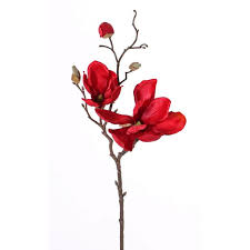 Check spelling or type a new query. Silk Magnolia Flower Malbine Red 20 50cm O2 4 4 6 10cm