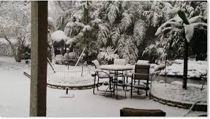 Por eso, el frío, la nieve, la niebla encantan a muchos brasileños. H6kb61njjvb6dm