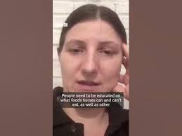 UK Animal Cruelty Files