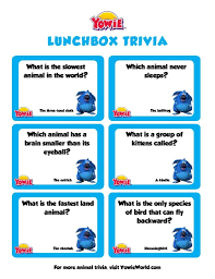 Read on for some hilarious trivia questions that will make your brain and your funny bone work overtime. Fun Animal Trivia Questions For Kids Yowie World