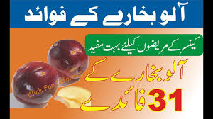 How To Benefits Eating Plum Fruit Eating Plum Fruit In Urdu Hindi Tips Plum Fruit Fruit Benefit