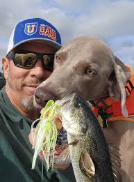 Spinnerbait or chatterbait and why