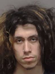 Prison for man accused of sexually abusing dog, killing cats