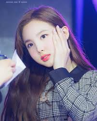 Pin On Bunny