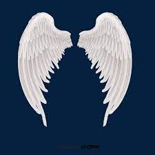 White Angel Wings And Feathers Angel Angel Wings White Png Transparent Clipart Image And Psd File For Free Download White Angel Wings Angel Wings Drawing Wings Wallpaper