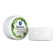 Image result for Equilabium selukwense