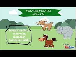 Savesave haiwan yang makan tumbuhan sahaja for later. Haiwan Herbivor Karnivor Omnivor Youtube
