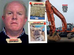 Cork man jailed for role in plot to smuggle €52m worth of MDMA into  Australia