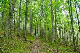 Newaygo state park on wn network delivers the latest videos and editable pages for news & events, including entertainment, music, sports, science and more, sign up and share your playlists. Michigan Trails North Country Trail Newaygo County