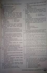 Soal aij (administrasi dan infrastruktur jaringan. Tolong Jawab Pertanyaan Di Atas Dengan Benar Brainly Co Id