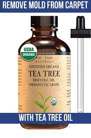 How To Get Mold Out Of Carpet With Tea Tree Oil Mold Remover Tea Tree Oil Carpet Cleaning Hacks