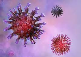 But more preliminary results from a small, separate study in south africa. Coronavirus Update Recent Developments In Vaccine Research