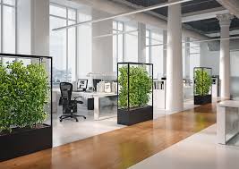 Die Cube Planted Collection Ist Eyecatcher Mobile Grunewand Raumteiler Sichtschutz Und Akustik Optimierer In Eine Buroraumteiler Buroteiler Raumteiler Regal
