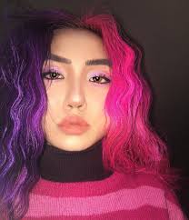 Split Dye Hair Black And Dark Purple Arctic Fox Hair Color Vioxlette This Split Color Is So Gorgeous Hairgoals Splitcolor Purplehai Two Color Hair Half And Half Hair Arctic Fox Hair Color