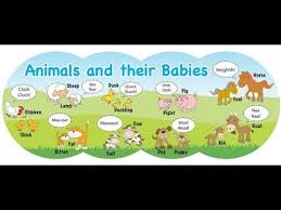 Animals and their young preschool sheets. Animals And Their Young Ones Mother And Baby Animals Elearningkidz Mother And Baby Animals Baby Animals Super Cute Baby Animals