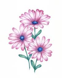 Drawing Pictures Of Flowers With Colour Belgium Hotels 5 Star Image result for flowers hd ilustraciones.
