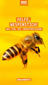 Ich muss die ganze zeit hinschauen und kann nicht auf meinem handy herumspielen, so wie es sonst so oft mache. Was Tun Bei Insektenstichen Dak Fit Insektenstich Insekten Wespenstich
