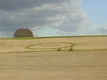 Círculos nas plantações – Wikipédia, a enciclopédia livre